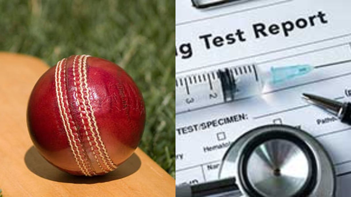 News Article Hero Image