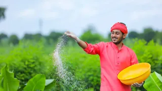 सरकार ने उर्वरक सब्सिडी के लिए मंजूर किए ₹37952 करोड़