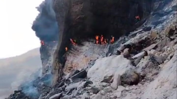 News Article Hero Image