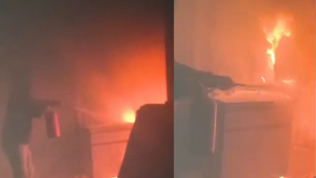 News Article Hero Image