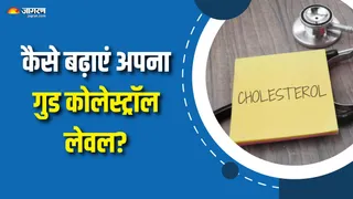 दिल को हेल्दी रखने के लिए जरूरी है गुड कोलेस्ट्रॉल (Picture Courtesy: Freepik)