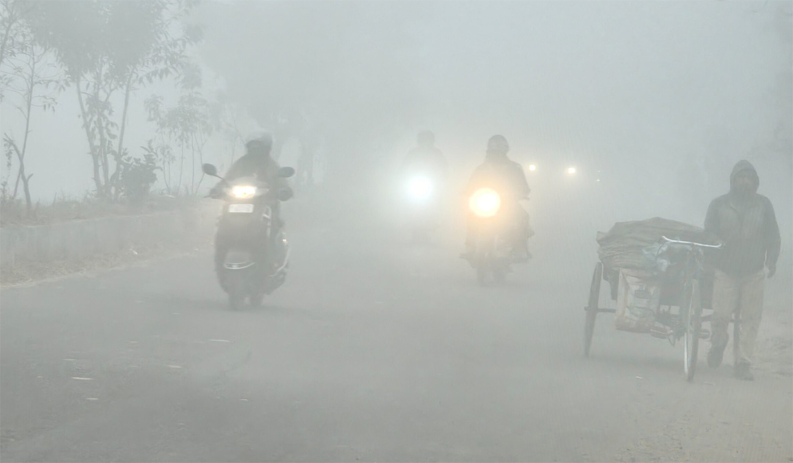 News Article Hero Image