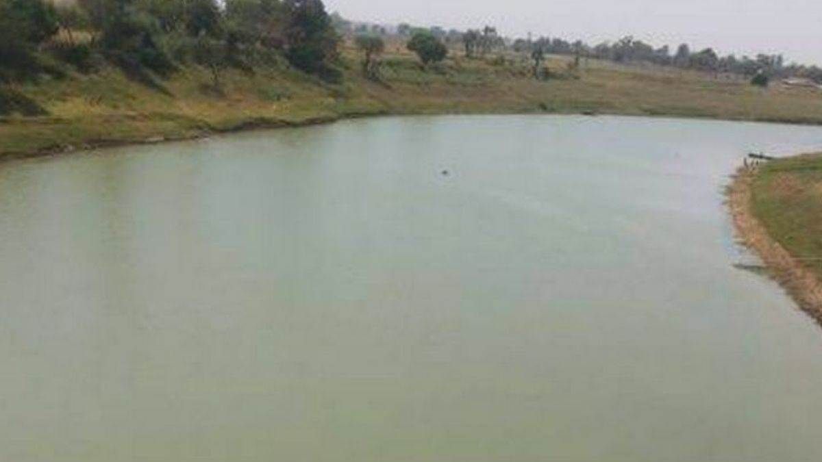 News Article Hero Image