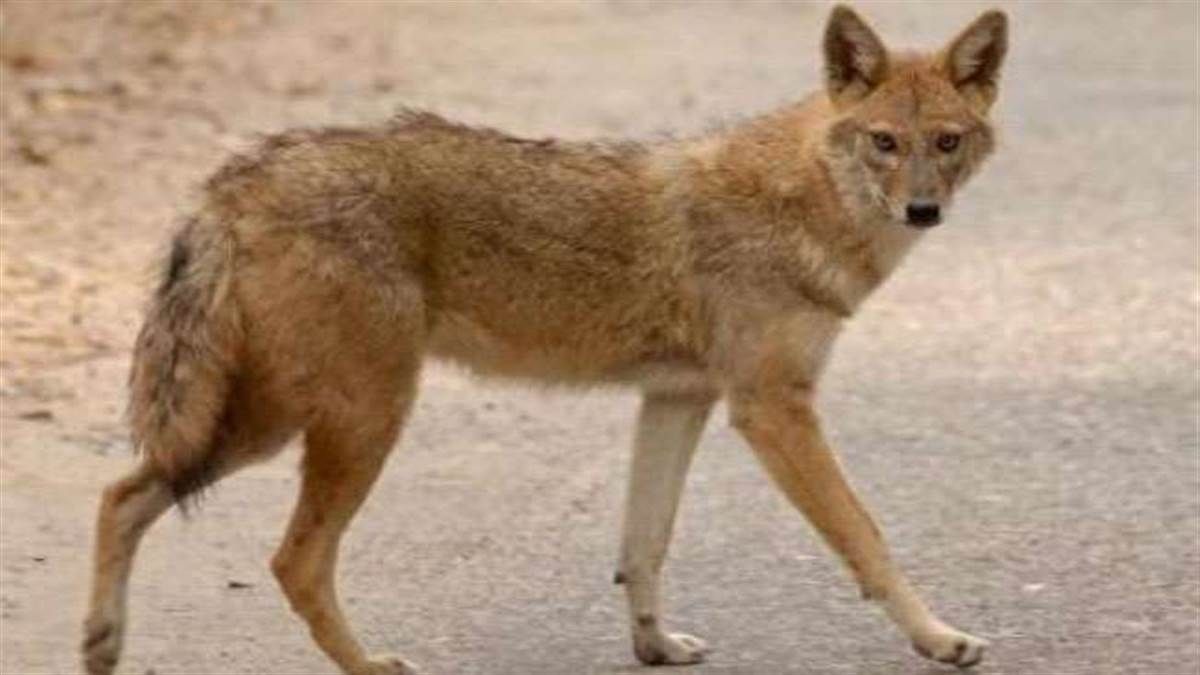 News Article Hero Image