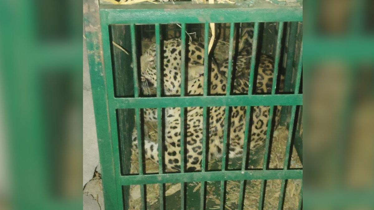 News Article Hero Image