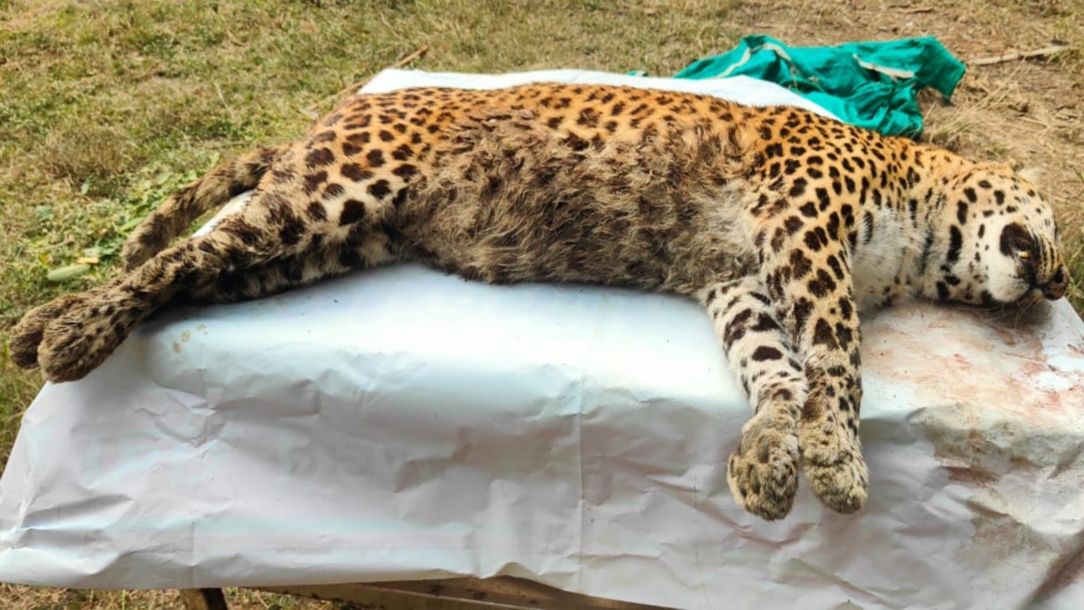 News Article Hero Image