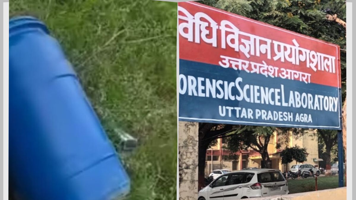 News Article Hero Image