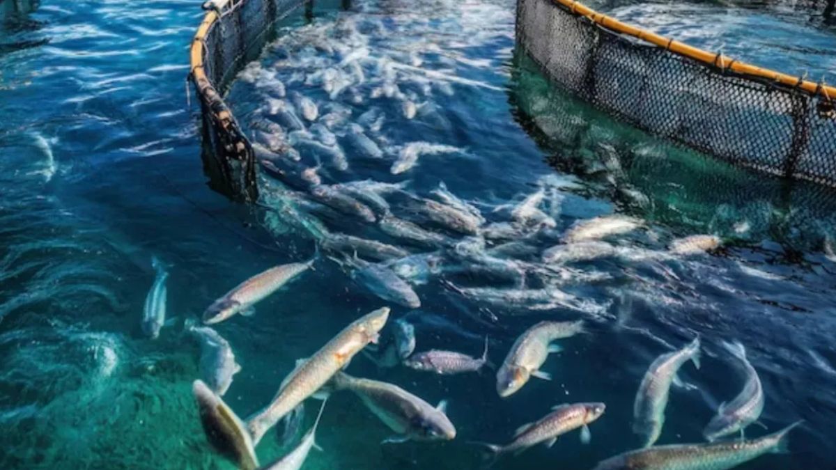 News Article Hero Image