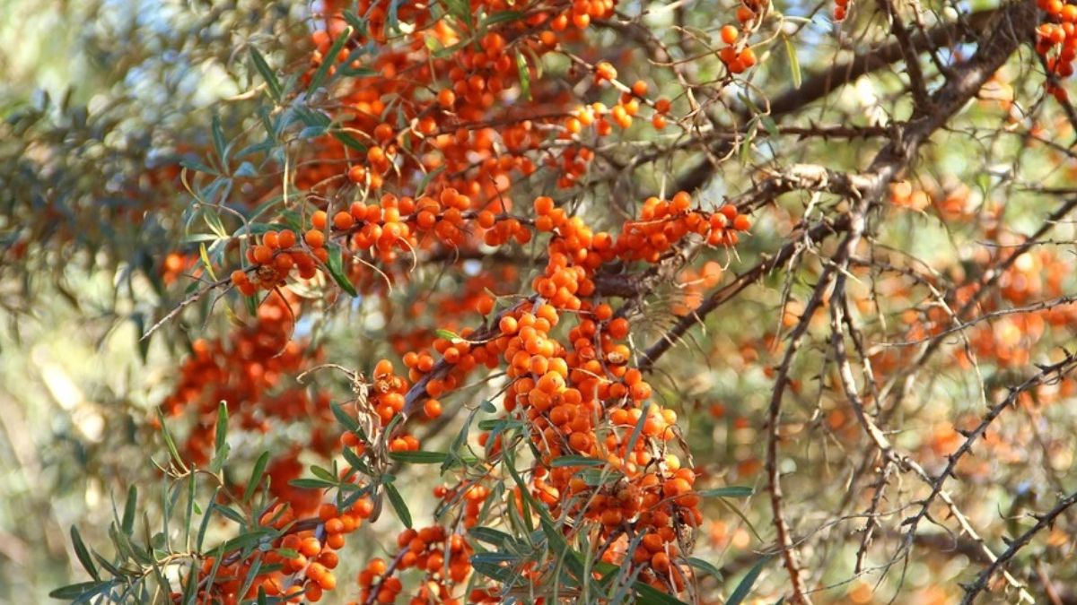 News Article Hero Image