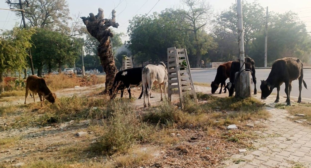 News Article Hero Image