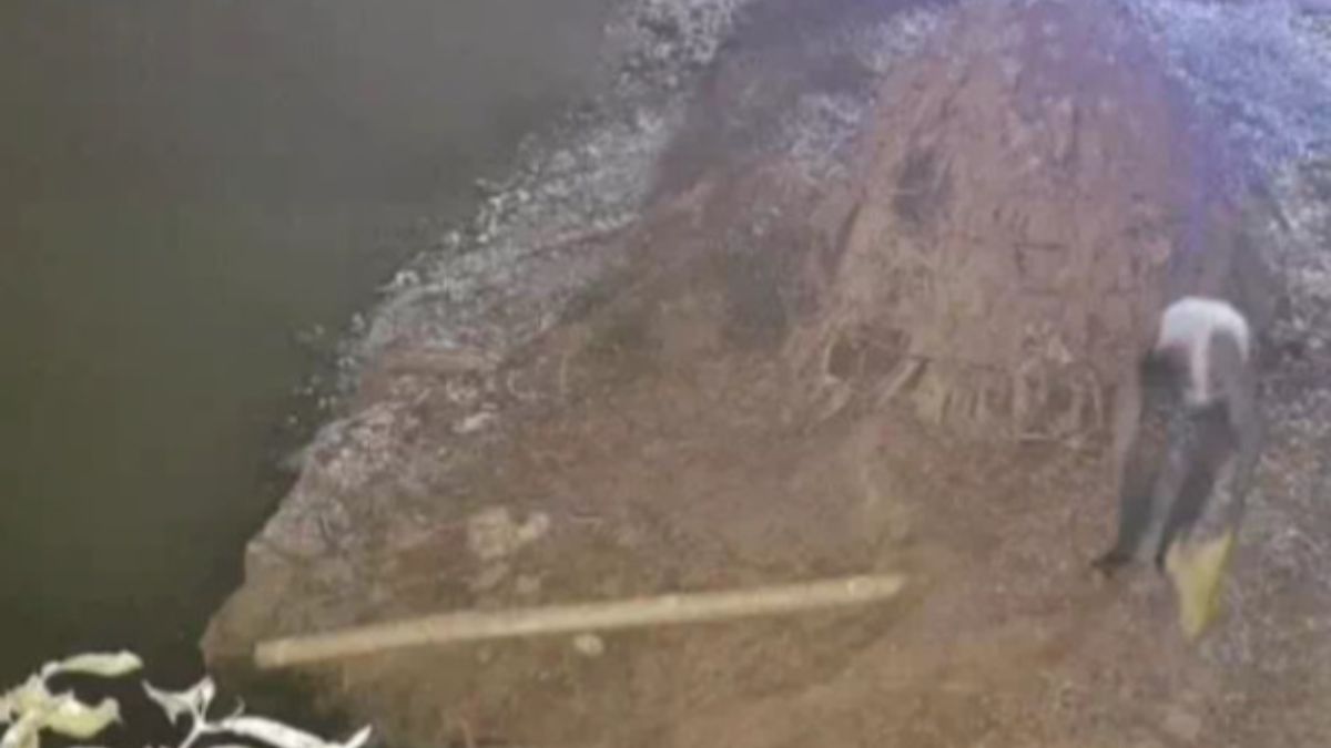 News Article Hero Image