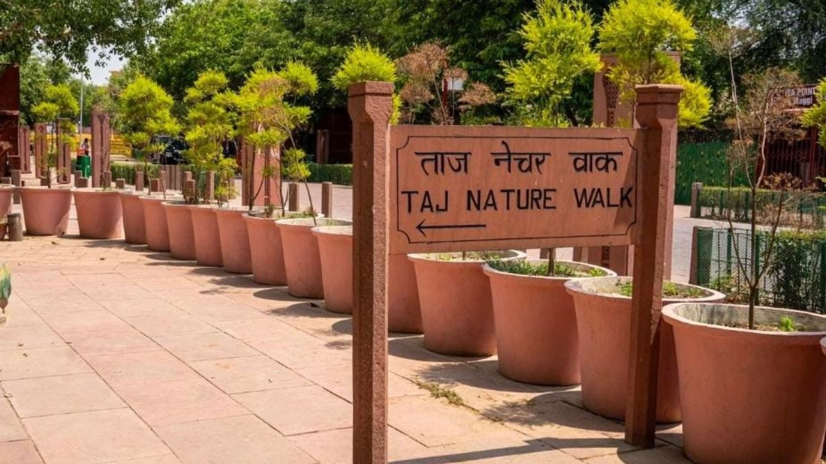 News Article Hero Image