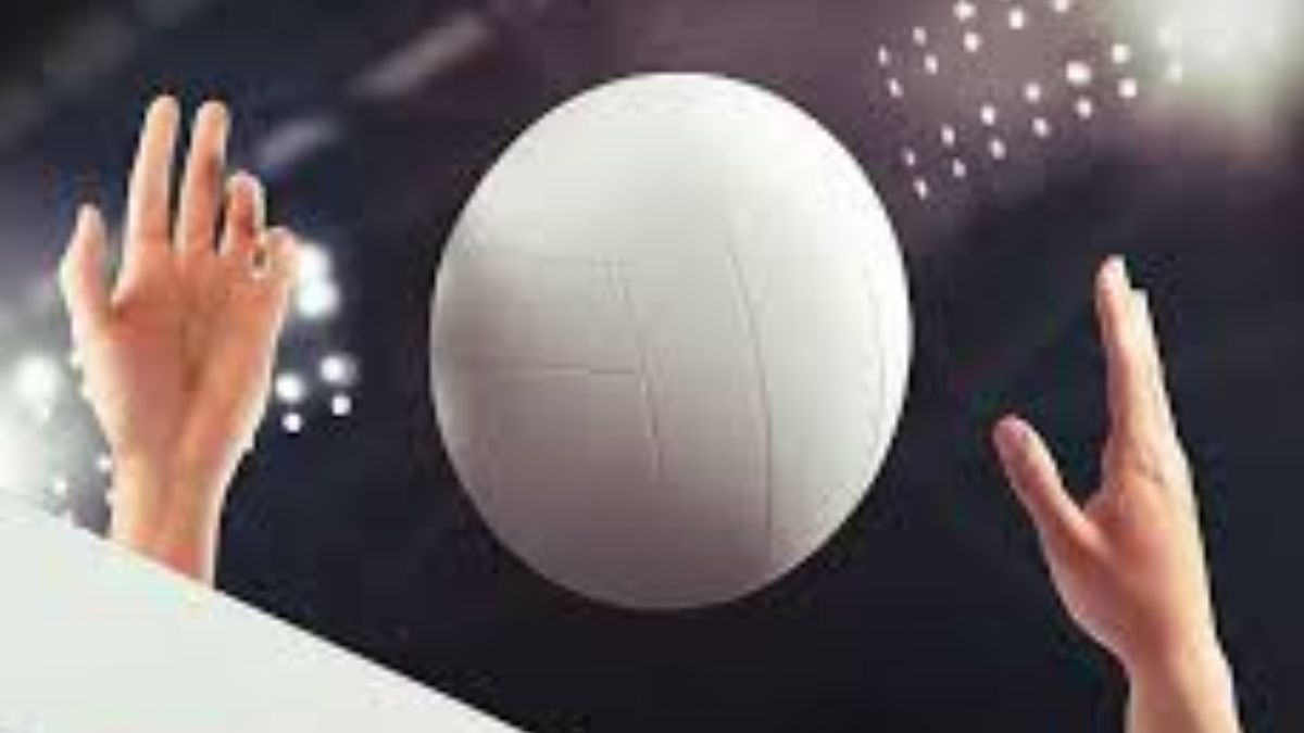 News Article Hero Image