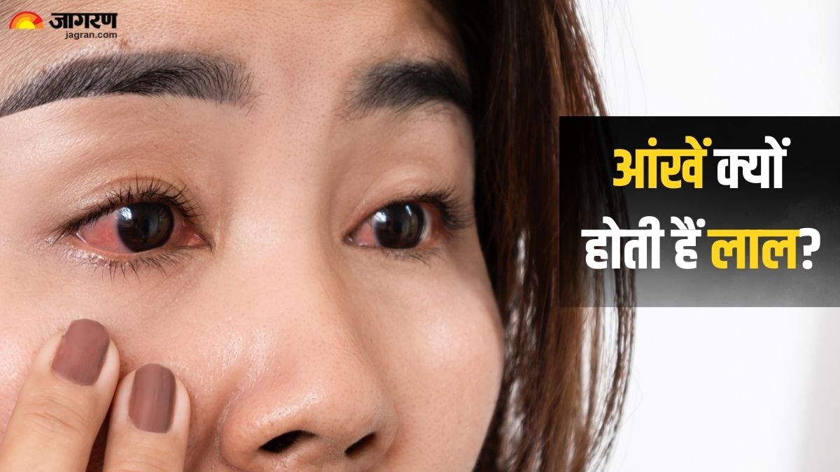 News Article Hero Image