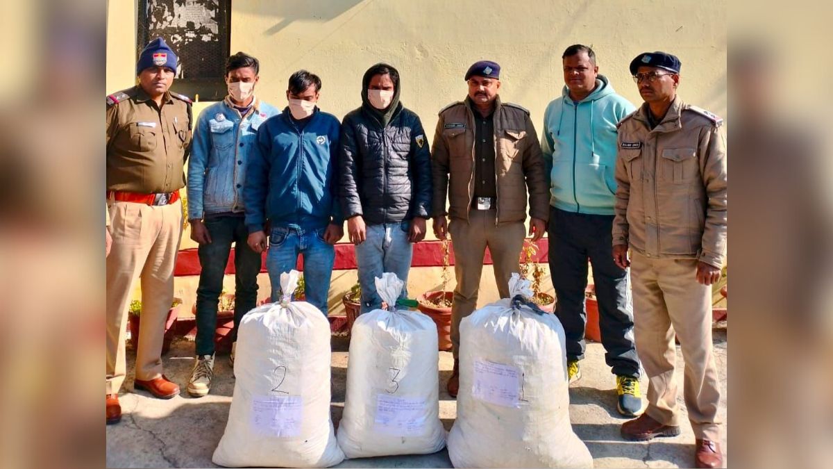 News Article Hero Image