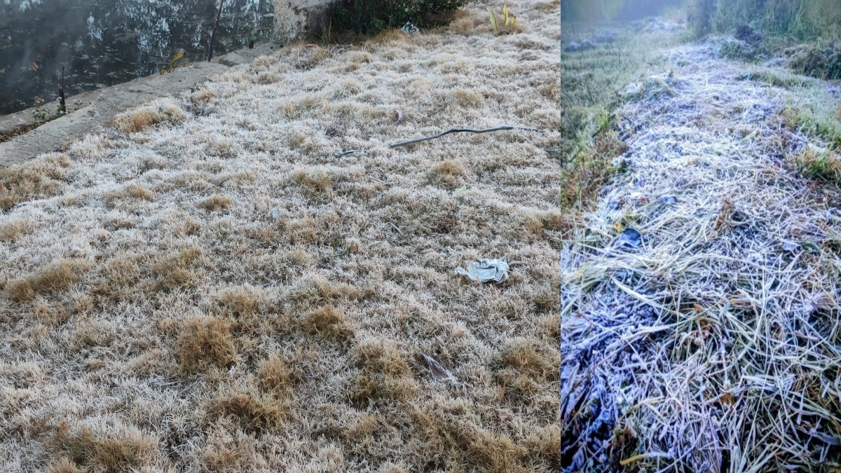 News Article Hero Image