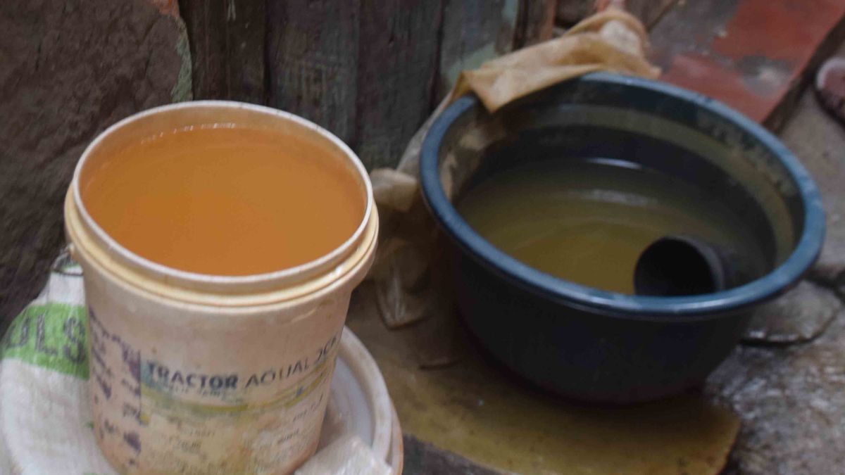 News Article Hero Image