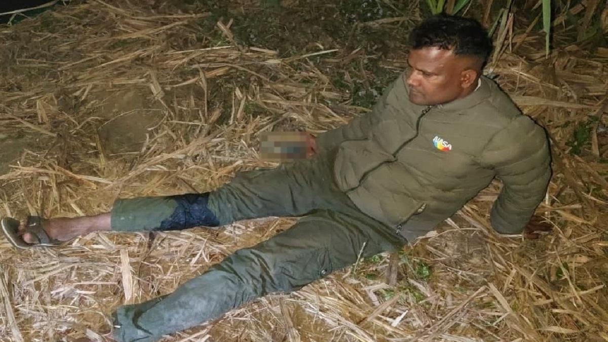 News Article Hero Image