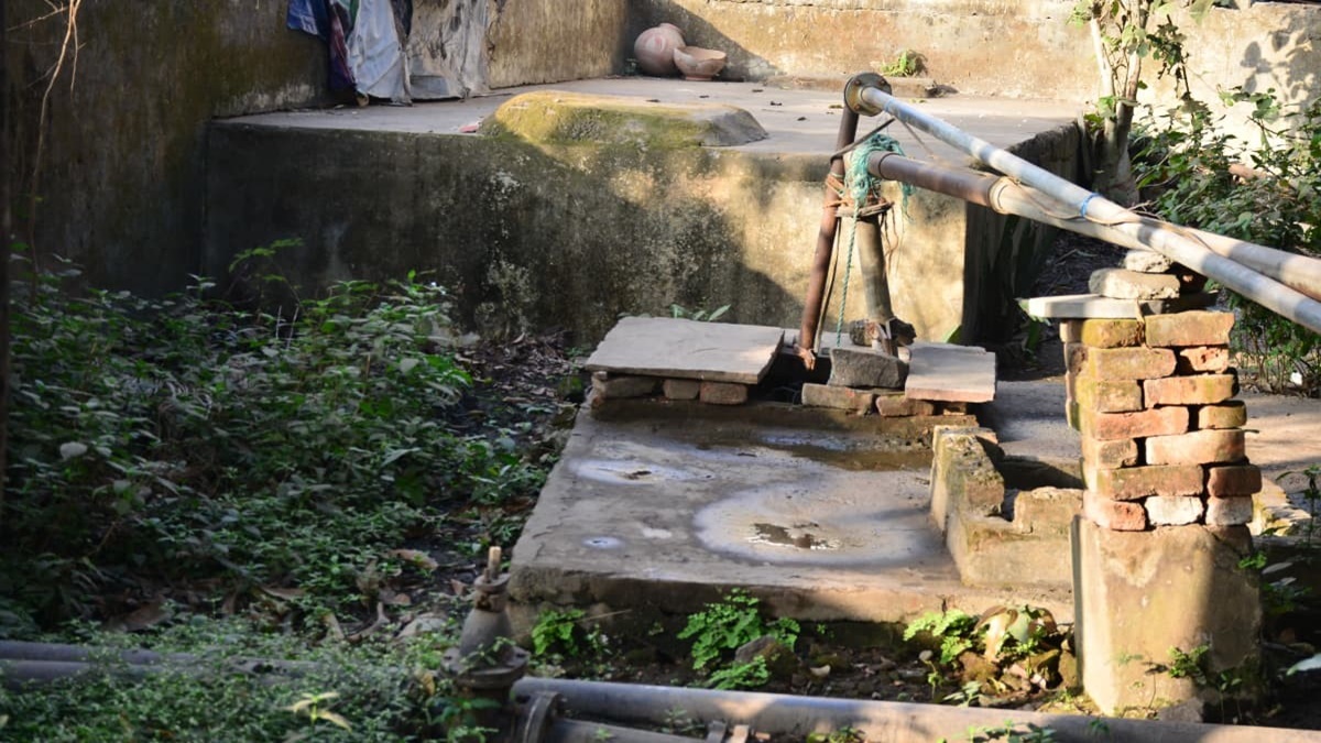 News Article Hero Image