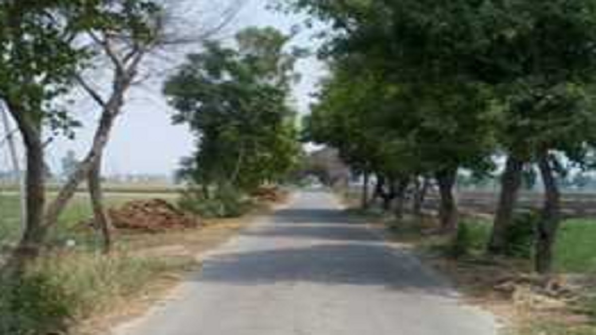 News Article Hero Image