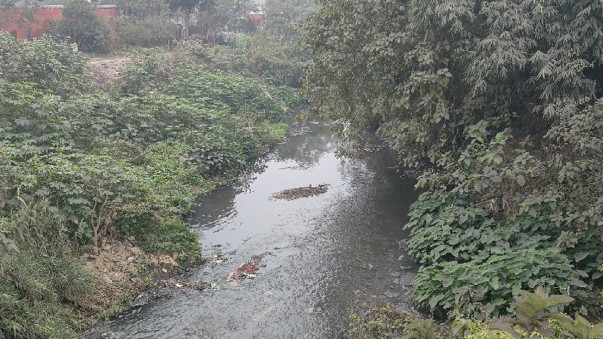 News Article Hero Image