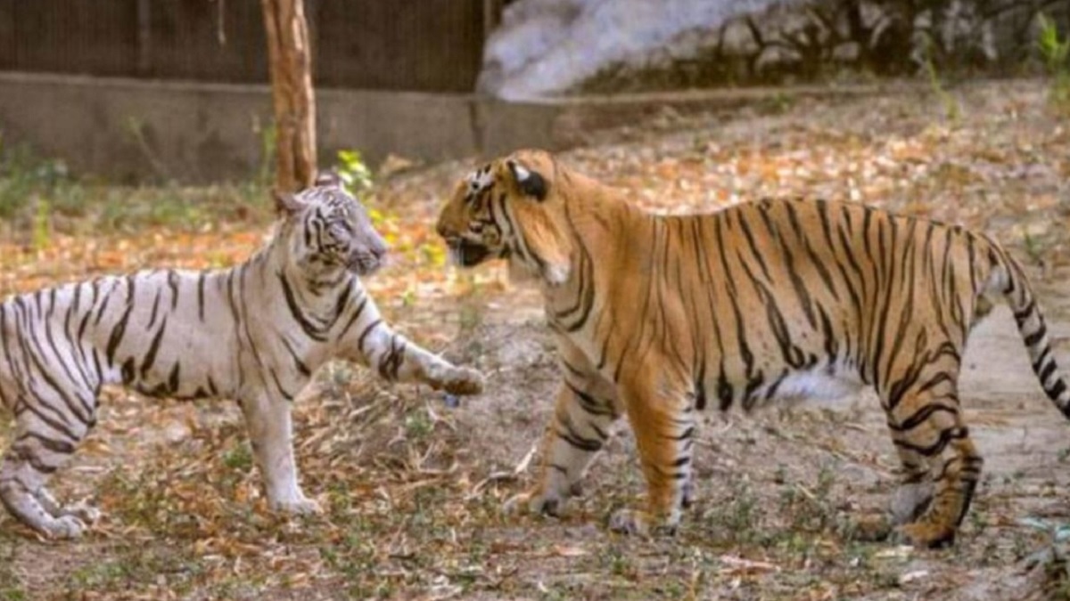 News Article Hero Image