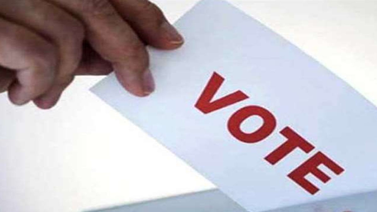 News Article Hero Image