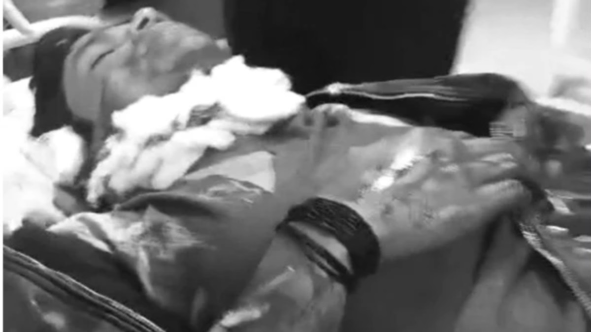 News Article Hero Image