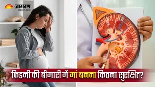किडनी के मरीज प्रेग्नेंसी में रखें इन बातों का खास ख्याल (Image Source: Freepik)