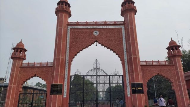 एएमयू के छात्रों को सऊदी अरब, यूएई और ओमान में नौकरी; एमटेक स्टूडेंट को मिले तीन प्रोफेसर पद
