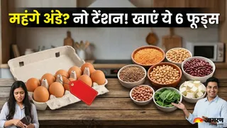 अंडे महंगे होने पर भी मिलेगा भरपूर प्रोटीन (Picture Credit- AI Generated)