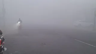 कोहरा।