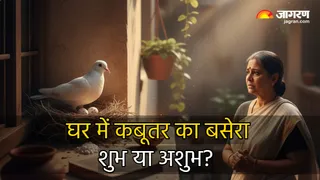 कबूतर का अंडा किस बात का संकेत? (Image Source: AI-Generated)