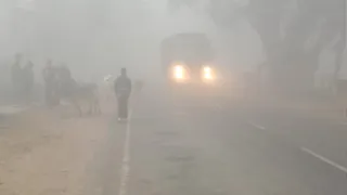 मिर्जापुर कस्बे में मुरादाबाद फर्रुखाबाद स्टेट हाइवे पर घने कोहरे में सड़क पर घूम रहे बेसहारा पशुओं के बीच लाइट जलाकर निकलते वाहन।