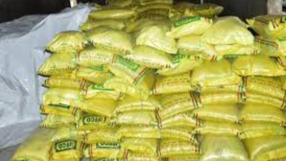 News Article Hero Image