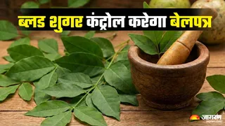 डायबिटीज कंट्रोल करने का प्राकृतिक उपाय (Picture Credit- AI Generated)