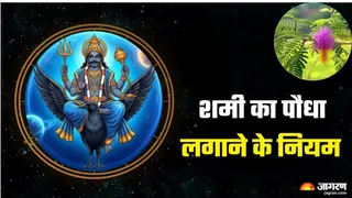 शनिदेव को कैसे प्रसन्न करें?