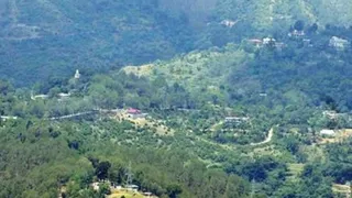 शिमला का जाठिया देवी यहां नया शहर बसेगा।