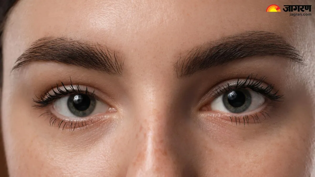 आईब्रो पेंसिल को हमेशा के लिए कहें 'गुडबाय', ये 4 जादुई तेल बदल देंगे आपका लुक