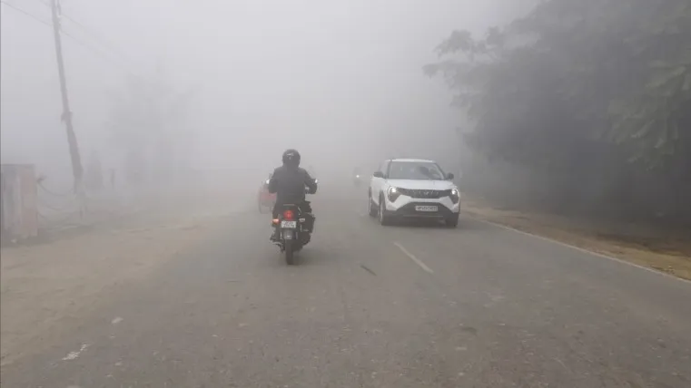 शीतलहर और घने कोहरे के बाद चटख धूप निकलने से म‍िली राहत, तापमान में 2.3 डिग्री सेल्सियस की बढ़ोतरी
