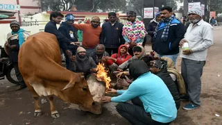 Prayagraj Weather Forecast प्रयागराज में कड़ाके की ठंड और शीतलहर का प्रकोप जारी है, एसआरएन अस्पताल के मुख्य गेट पर अलाव तापते लोग। जागरण