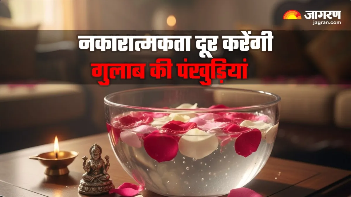 तनाव और क्लेश से मुक्ति पाना है? गुलाब की पंखुड़ियों का यह जादुई उपाय बदल देगा आपकी लाइफ
