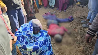 हजारीबाग में जंगली हाथियों का कहर