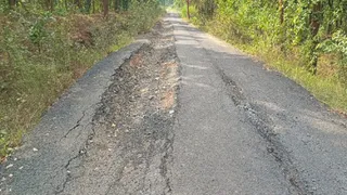 एक साल पूर्व बनाई गई कैरो-गोपालगंज सड़क हो गई जर्जर।