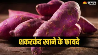 शकरकंद खाने से सेहत को मिलेंगे ये शानदार फायदे (Picture Credit - Canva)