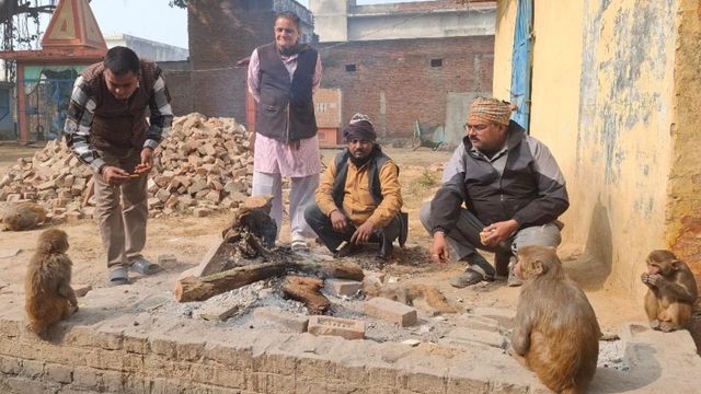 चंदौसी में 30 बंदरों की रहस्यमयी तरीके से मौत, पहले नाक-मुंह से आया खून, फिर तोड़ा दम
