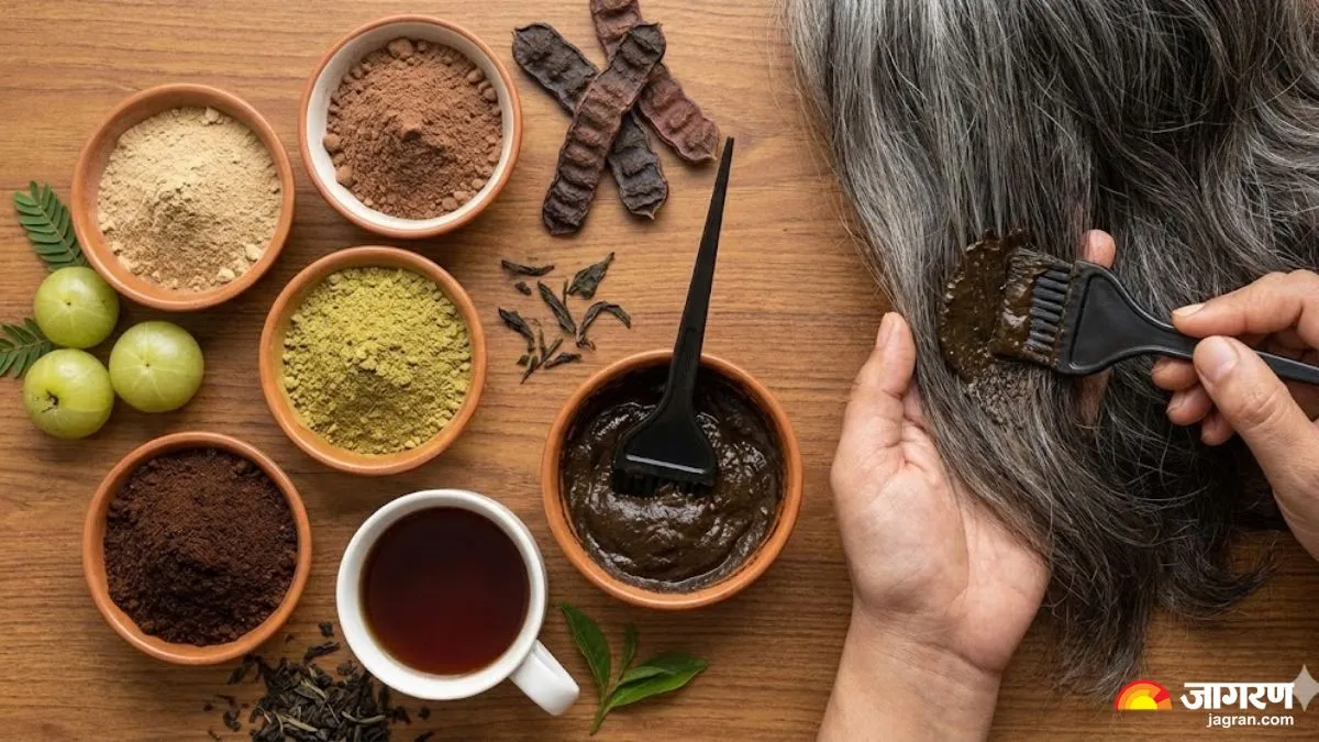 एक सफेद बाल उखाड़ा तो क्या सच में निकल आएंगे 10? जानिए इसका सच और बाल काला करने का रामबाण इलाज