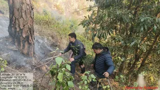पुष्प गंगा को बल्ली लगाकर पार करने में सफल हुई वन विभाग की टीम. Jagran