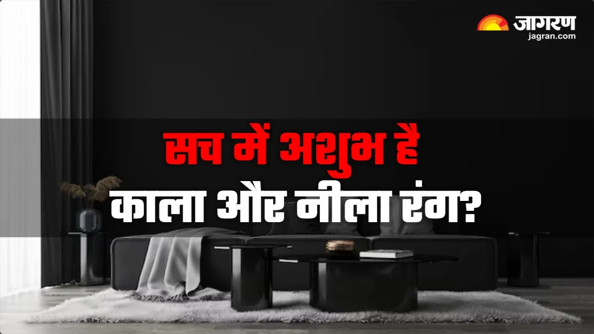 काला और नीला रंग सच में लाता है दुर्भाग्य? वास्तु के इन नियमों को जानकर दंग रह जाएंगे आप
