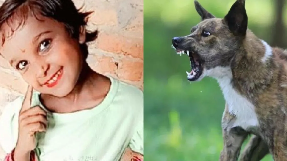 खेत से लौट रही मासूम पर कुत्तों ने किया हमला, हुई दर्दनांक मौत खेत से लौट रही मासूम पर कुत्तों ने किया हमला, हुई दर्दनांक मौत